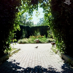 Отель Mother Russia Hotel and Hostel, Москва, Московская область