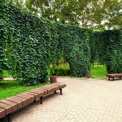 Отель Mother Russia Hotel and Hostel, Москва, Московская область