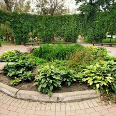 Отель Mother Russia Hotel and Hostel, Москва, Московская область