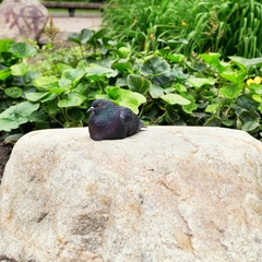 Отель Mother Russia Hotel and Hostel, Москва, Московская область