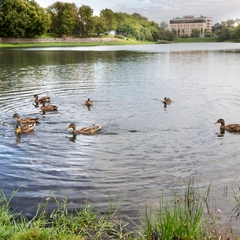 Отель Mother Russia Hotel and Hostel, Москва, Московская область