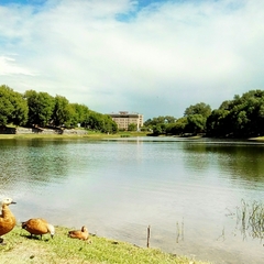 Отель Mother Russia Hotel and Hostel, Москва, Московская область
