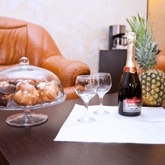 Гостиница Дрозды, Москва, Московская область