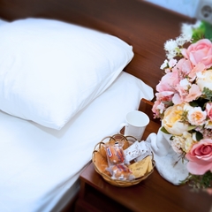 Гостиница Дрозды, Москва, Московская область