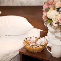 Гостиница Дрозды, Москва, Московская область