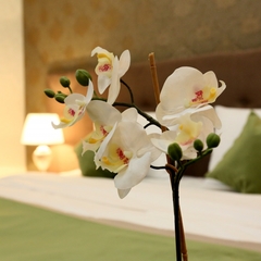 Отель Eden Hotel, Москва, Московская область