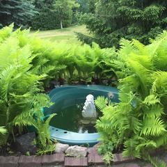 Гостевой дом Гала Люкс, Москва, Московская область