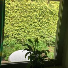 Гостевой дом Гала Люкс, Москва, Московская область