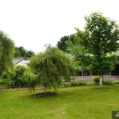 Гостевой дом Гала Люкс, Москва, Московская область