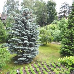 Гостевой дом Гала Люкс, Москва, Московская область