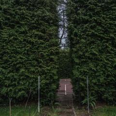 Гостевой дом Гала Люкс, Москва, Московская область