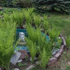 Гостевой дом Гала Люкс, Москва, Московская область