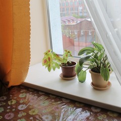 Хостел Преображенка, Москва, Московская область