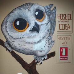 Хостел Деревянная Сова, Москва, Московская область