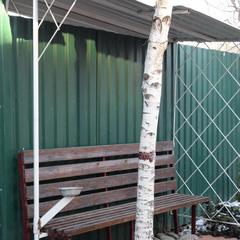 Гостевой дом Березка, Москва, Московская область