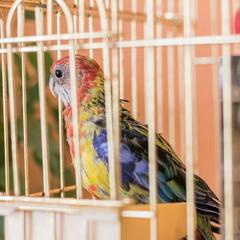 Гостиница Топспинклуб, Москва, Московская область