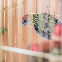 Гостиница Топспинклуб, Москва, Московская область