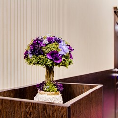 Отель Зима-Лето, Москва, Московская область