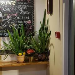 Отель Иван Чай - отель и кофейня, Москва, Московская область