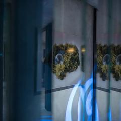 Отель Мосс, Москва, Московская область