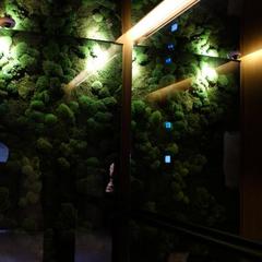 Отель Мосс, Москва, Московская область