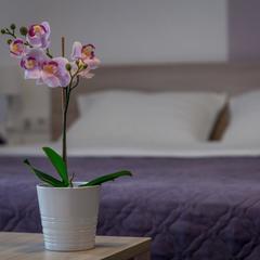 Отель Арбат Инн, Москва, Московская область