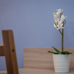 Отель Арбат Инн, Москва, Московская область