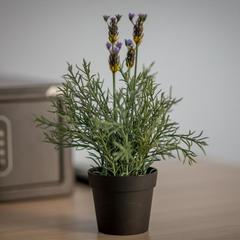 Отель Арбат Инн, Москва, Московская область