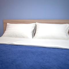 Отель Арбат Инн, Москва, Московская область