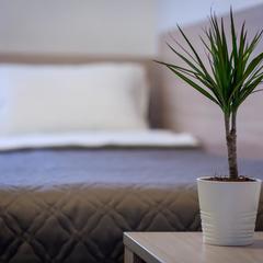 Отель Арбат Инн, Москва, Московская область