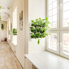 Отель Бутик-Отель Венеция в сердце моём, Москва, Московская область