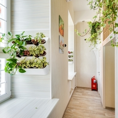 Отель Бутик-Отель Венеция в сердце моём, Москва, Московская область