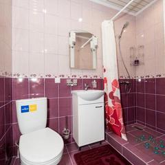 Отель Ладомир в Борисово, Москва, Московская область