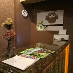 Хостел Silver Owl, Москва, Московская область