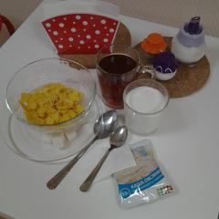 Хостел Silver Owl, Москва, Московская область