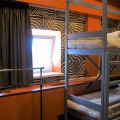 Хостел Silver Owl, Москва, Московская область