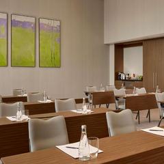 Отель Hyatt Regency Moscow Petrovsky Park, Москва, Московская область