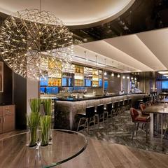 Отель Hyatt Regency Moscow Petrovsky Park, Москва, Московская область