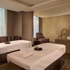 Отель Hyatt Regency Moscow Petrovsky Park, Москва, Московская область