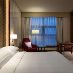 Отель Hyatt Regency Moscow Petrovsky Park, Москва, Московская область