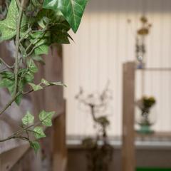 Хостел Green Hostel Kuzminki, Москва, Московская область