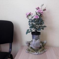 Хостел Red Moscow, Москва, Московская область