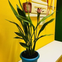 Хостел Трэвел Инн на Новослободской, Москва, Московская область