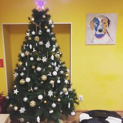 Хостел Точка, Москва, Московская область