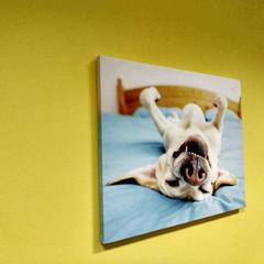 Хостел Точка, Москва, Московская область