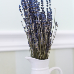 Мини-отель Буше на Чистопрудном бульваре, Москва, Московская область