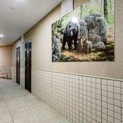 Хостел Берлога, Москва, Московская область