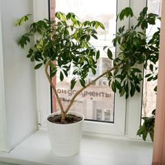 Хостел Гостиничный Проезд, Москва, Московская область