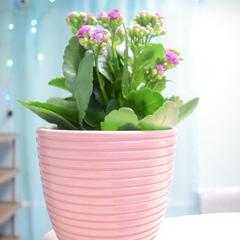 Отель Арбат 25, Москва, Московская область