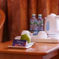 Гостиница Абсалют Измайлово ВЕГА, Москва, Московская область